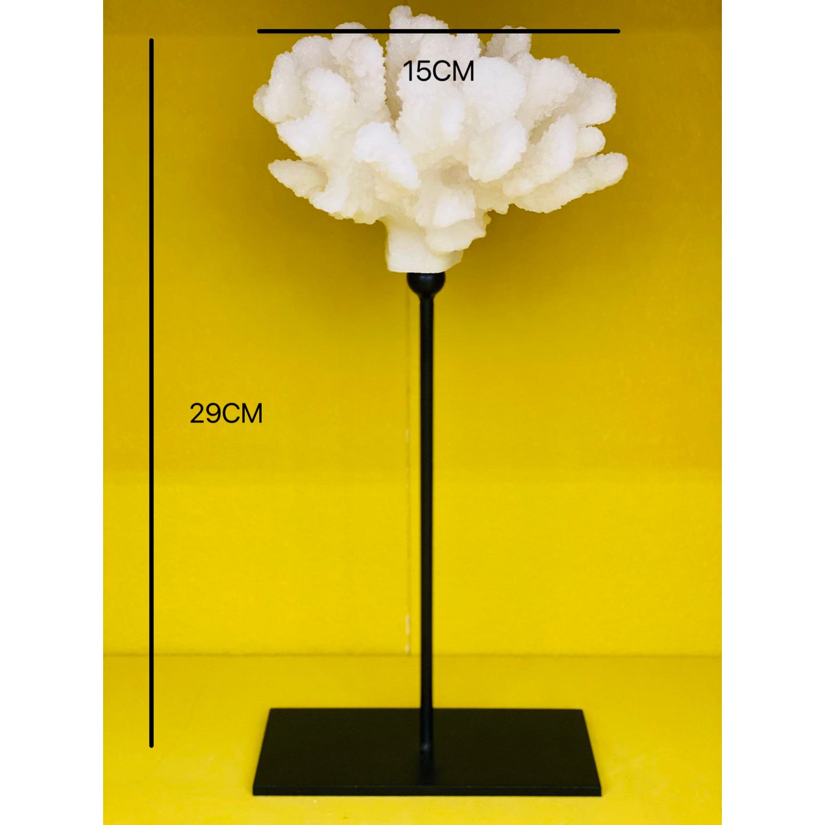 Korallenkollektion mit Metallständer – L-Größe: H 29 cm, B 15 cm, T 15 cm