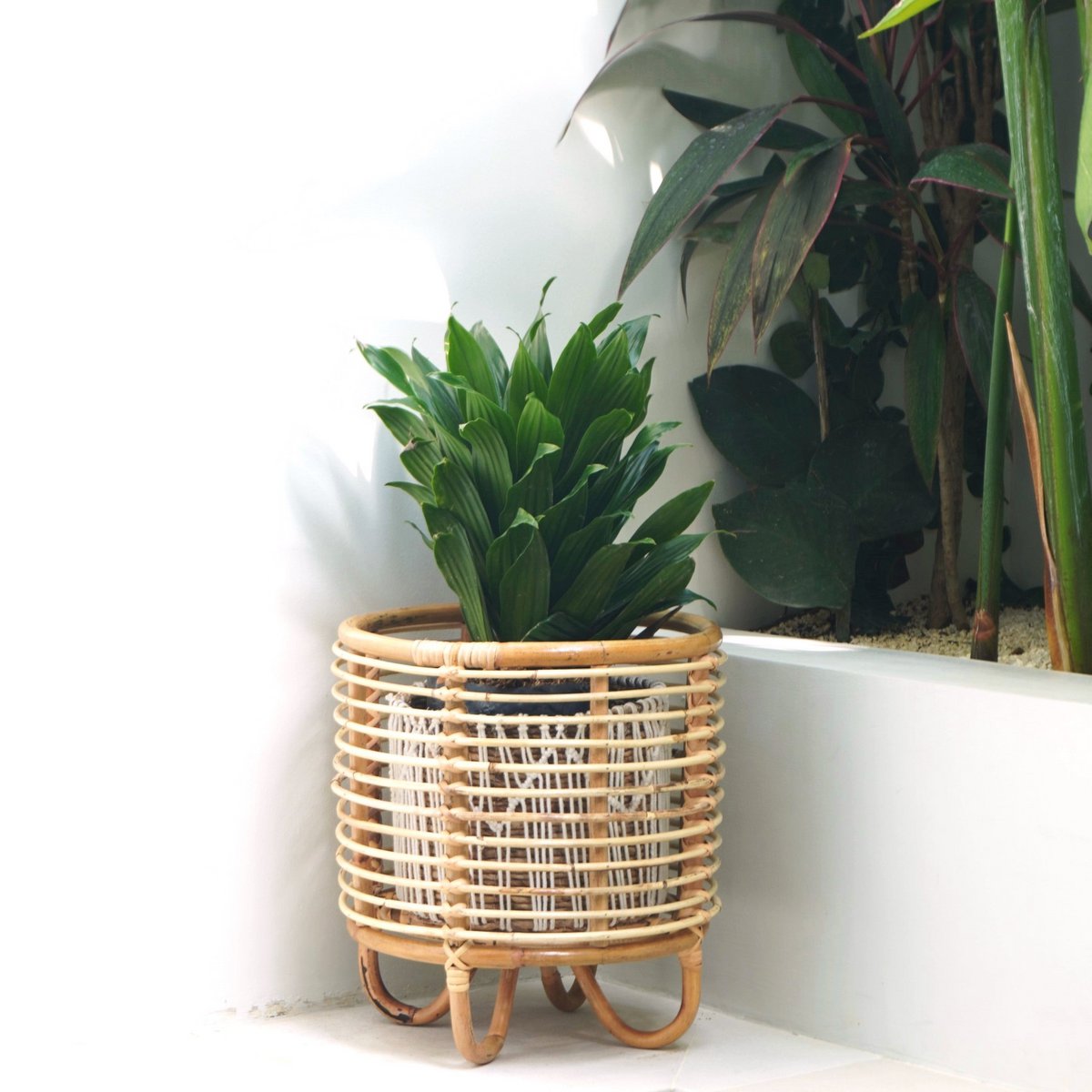 Rattan-Pflanzenständer, Pflanzgefäß, Blumentopfhalter, MALANG, beige